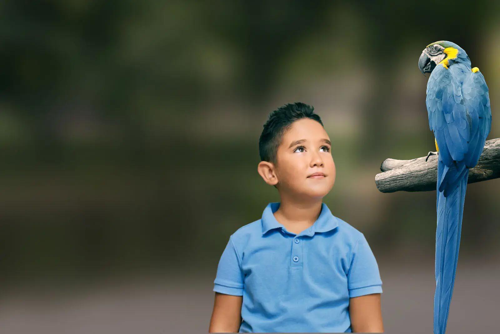 Birds | Saint Louis Zoo