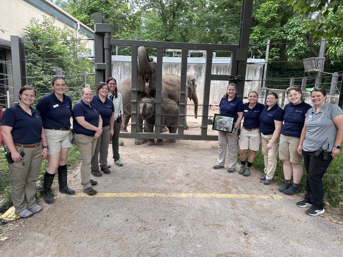 https://transforms.stlzoo.org/production/animals/elephant-calf-Jet/Web-Thumbnail_Saint-Louis-Zoo-Animal-Care-and-Veterinary-Staff-with-Jet-after-first-vaccine-May-27-2026_credit-Saint-Louis-Zoo-Copy.jpg?w=691&h=518&auto=compress%2Cformat&fit=crop&dm=1791399890&s=94238de9b35931c8b7b636bbf1c3a8a3