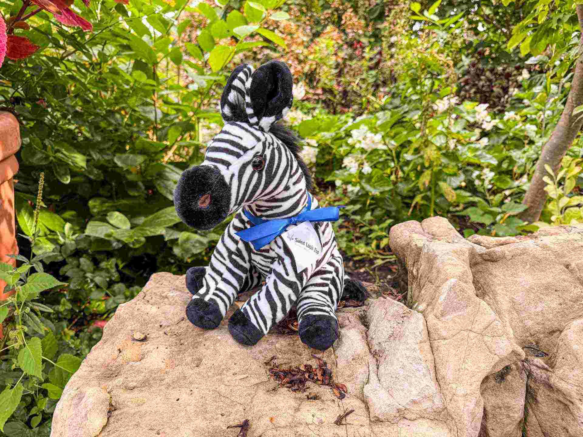 https://transforms.stlzoo.org/production/site/Adoptions/Holiday/2026-holiday-adoption-zebra-plush.jpg?w=1920&h=1440&auto=compress%2Cformat&fit=crop&dm=1790281651&s=79d5d103c976c5cb842d806718c33fb6
