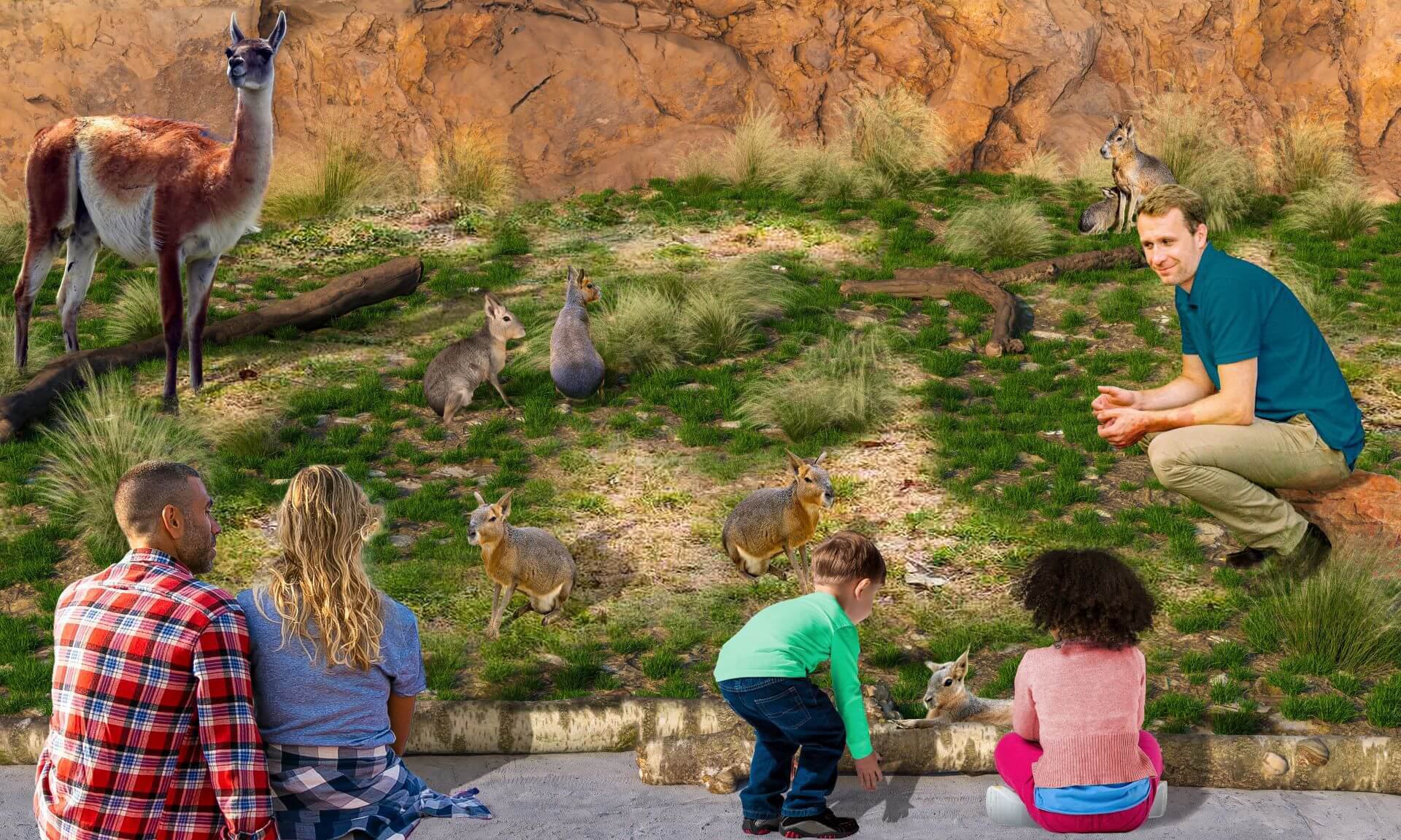 Alpaca and mara habitat