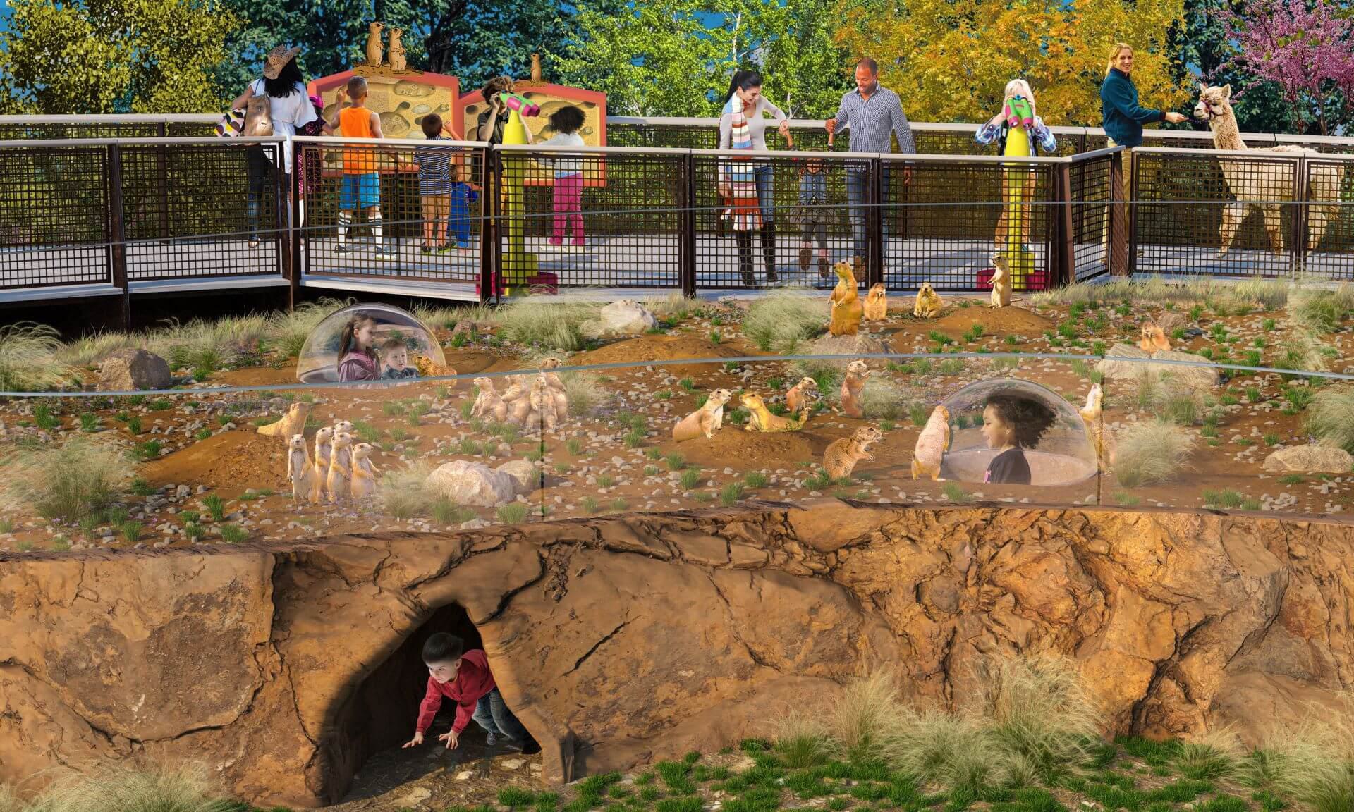 Prairie dog habitat