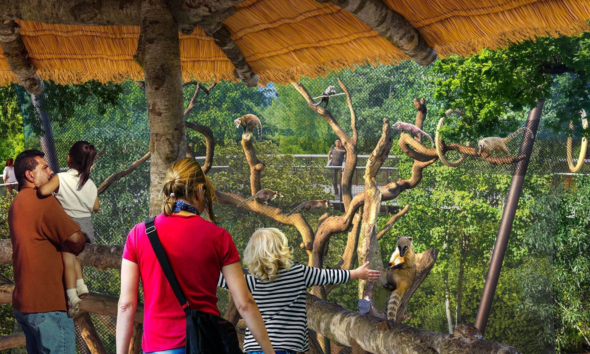 Coati habitat