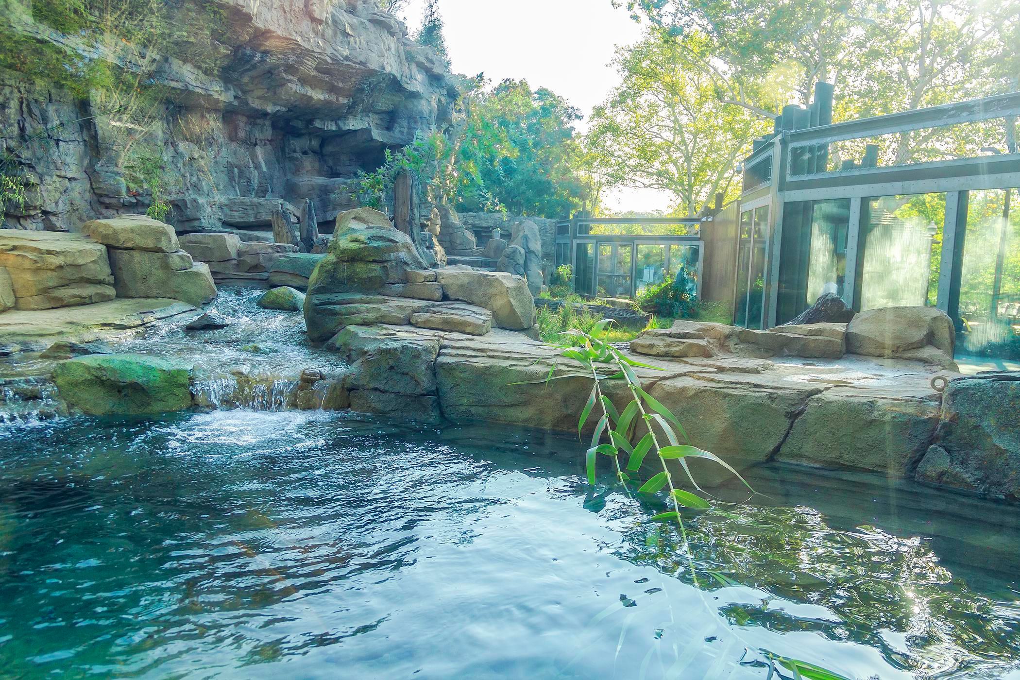 Grizzly Bear Exhibit Grizzly Bear Exhibit