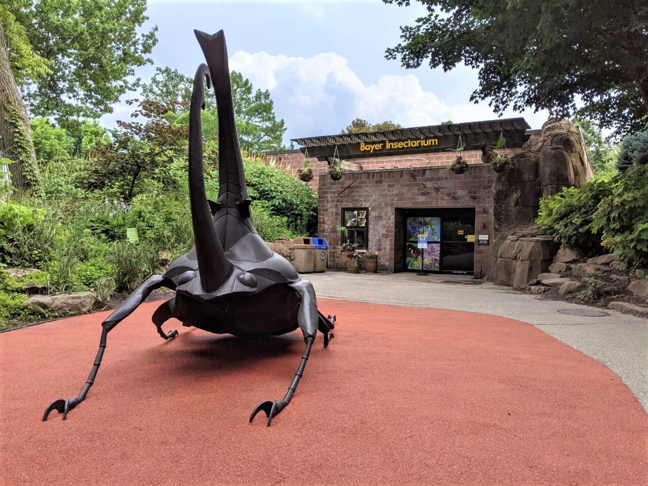 Saint Louis Zoo | Insectarium