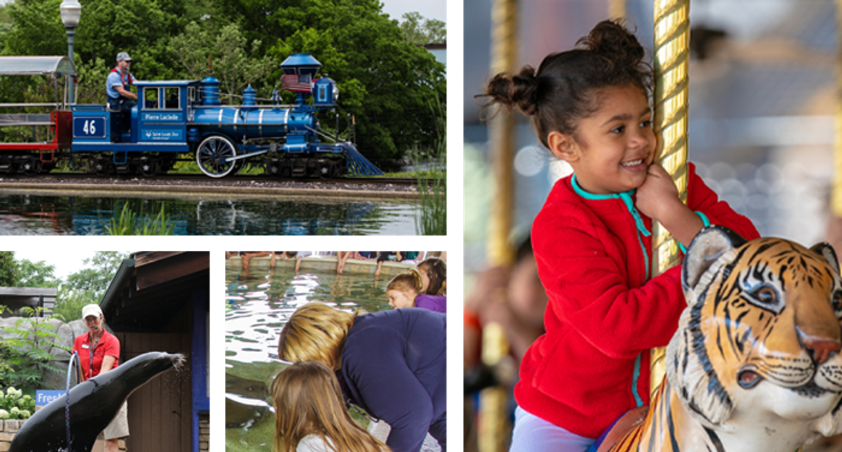 Saint Louis Zoo | Zooline Railroad