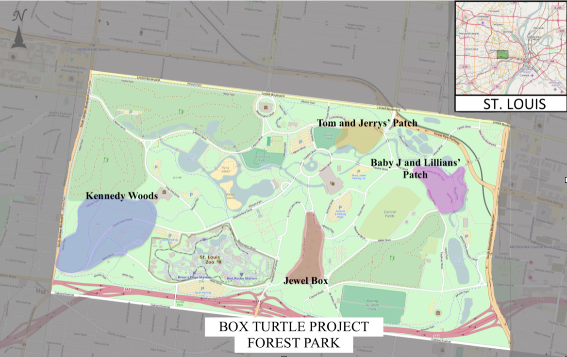 Box Turtle Project Map