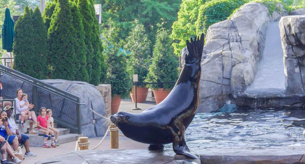 Saint Louis Zoo