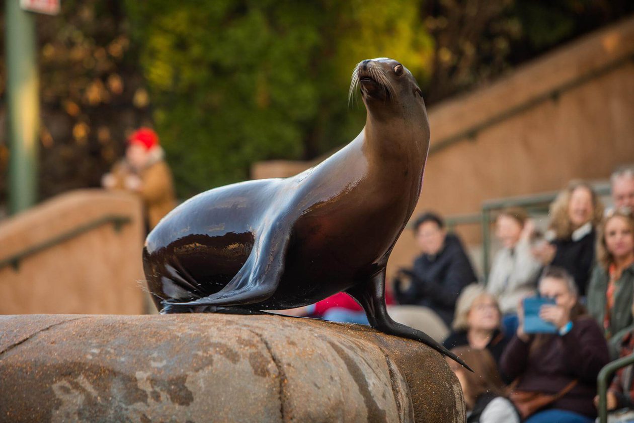 Saint Louis Zoo