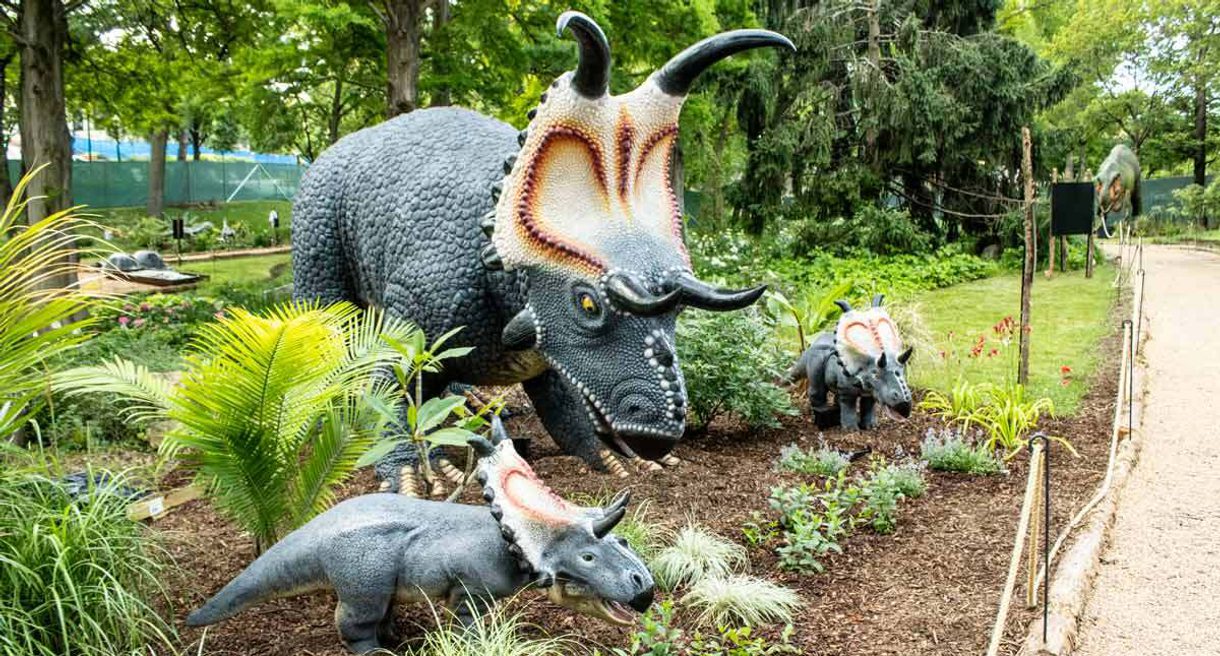 Reptile House