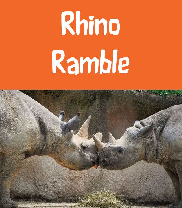 Rhino Ramble