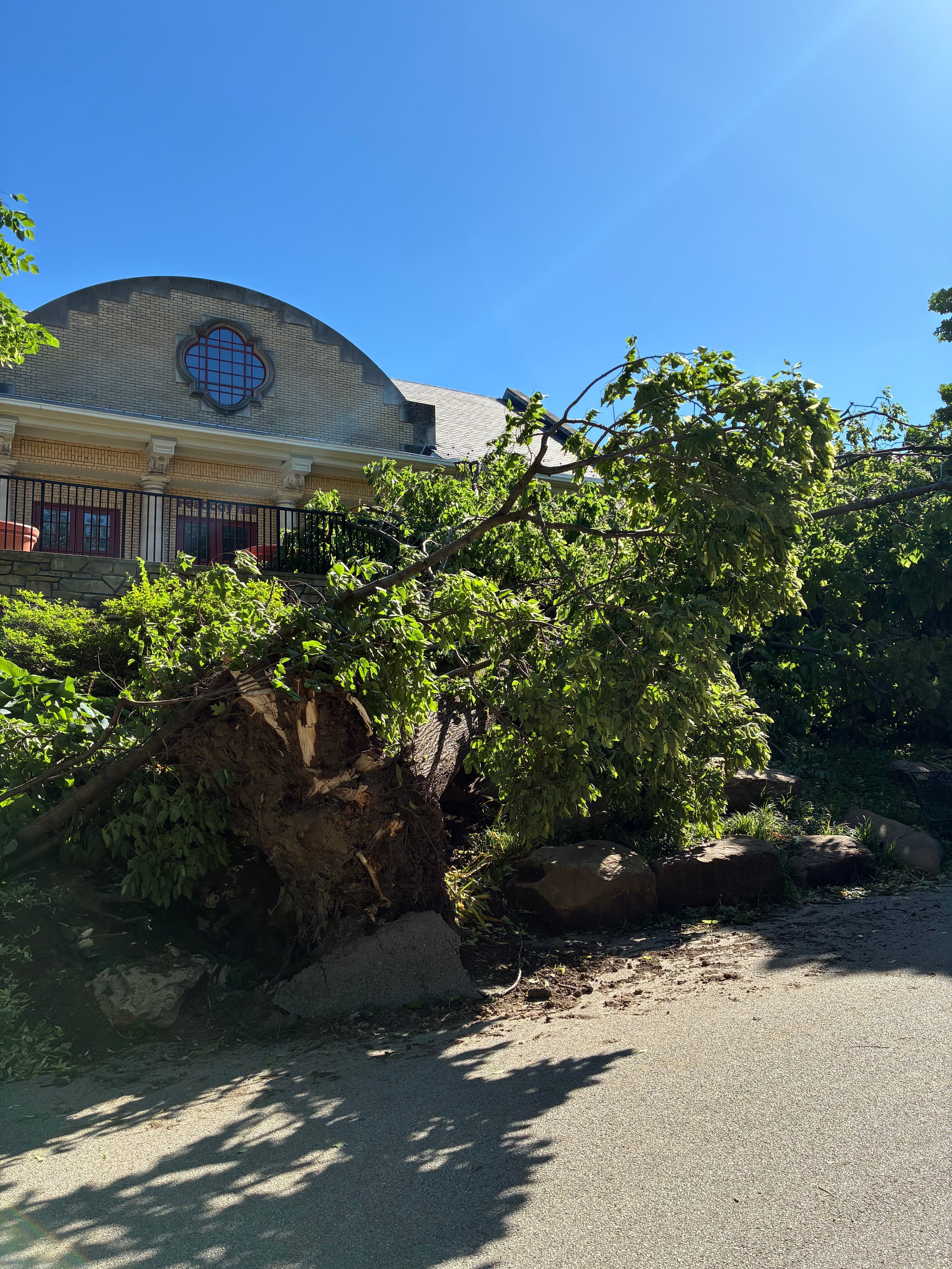 Storm damage May 2025