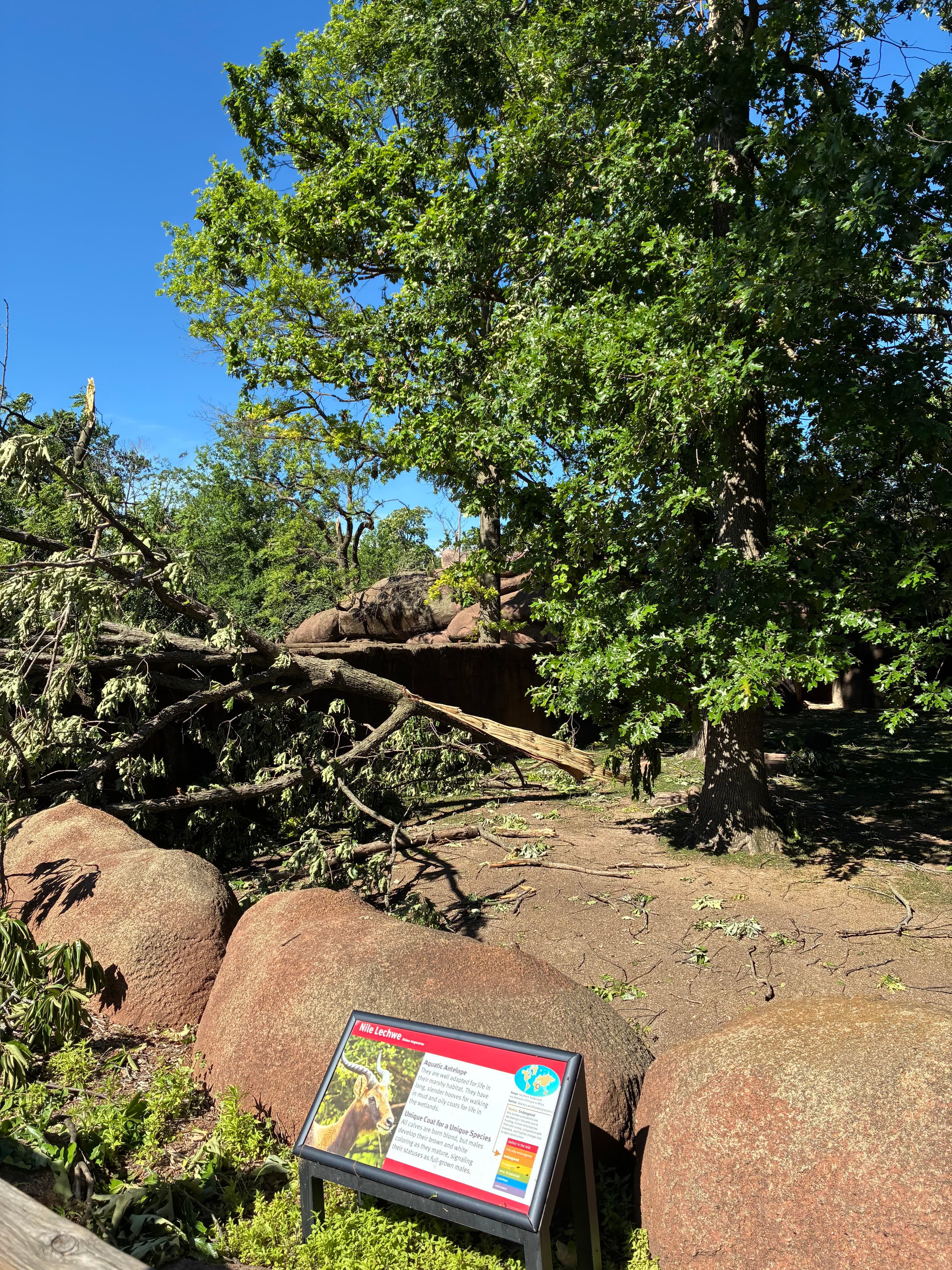 Storm damage May 2025