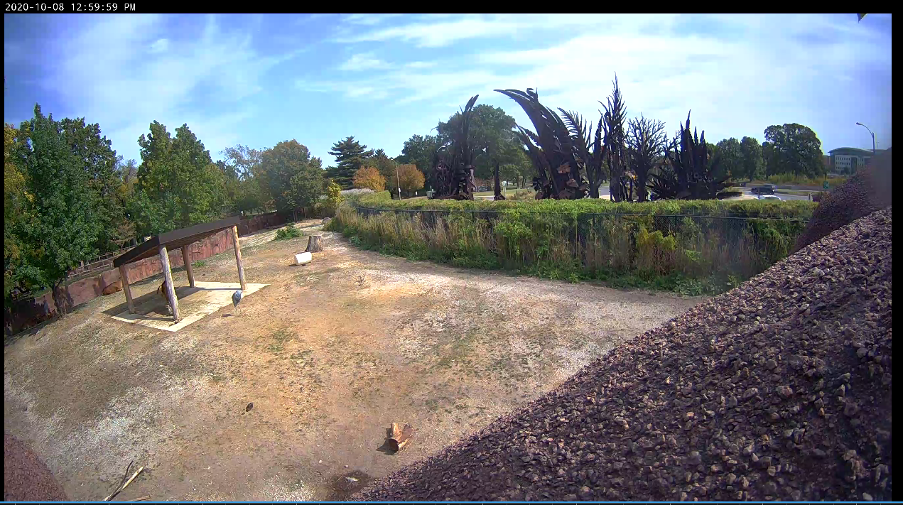 Bateng Video Camera