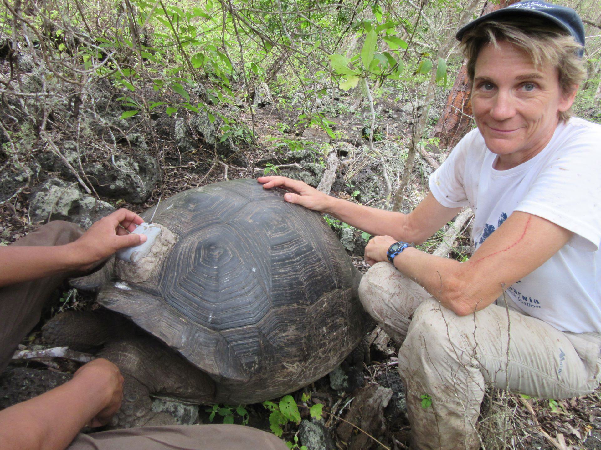 Dr. Deem with Galapagos tortoises