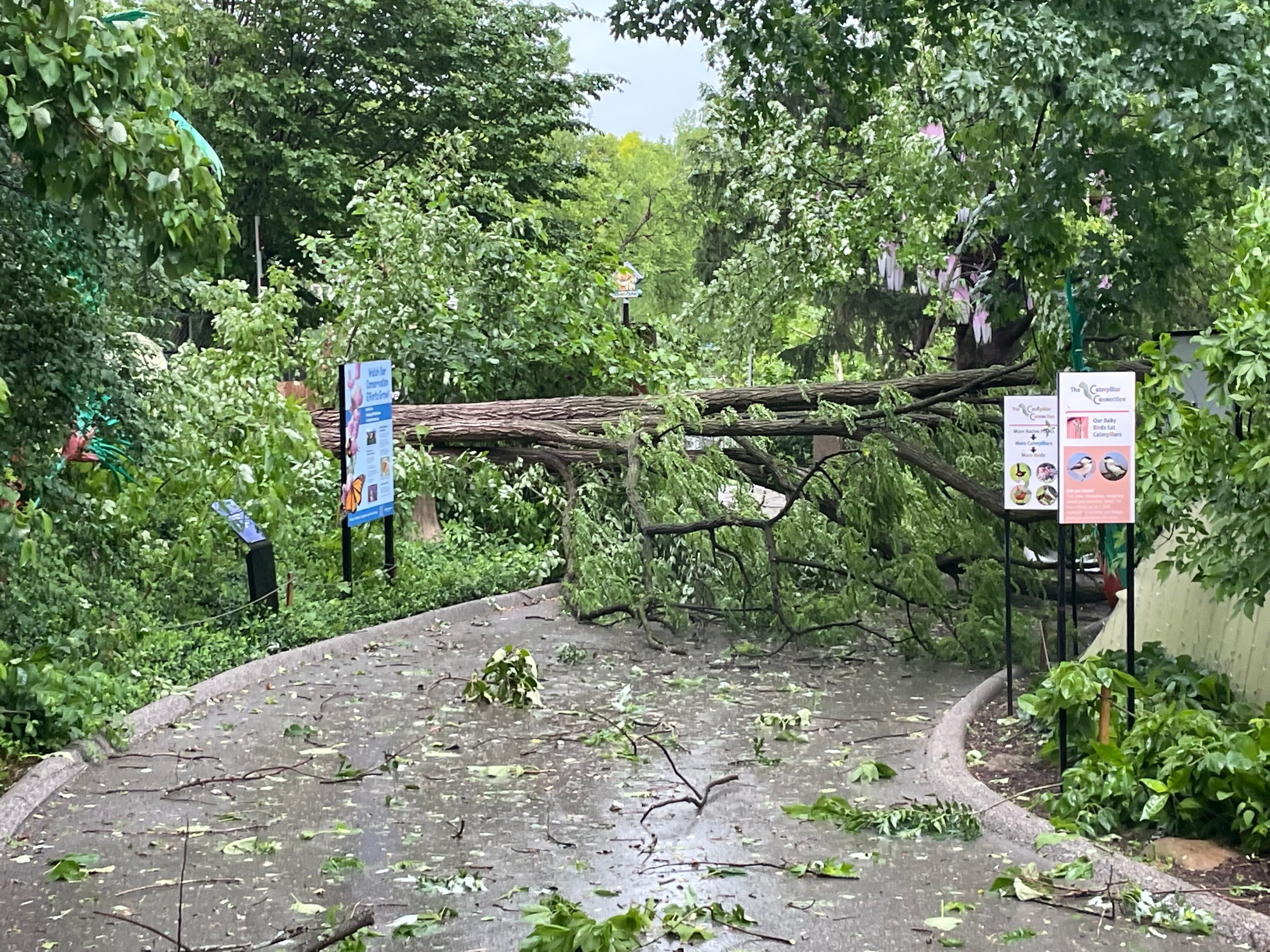 Storm damage May 2025