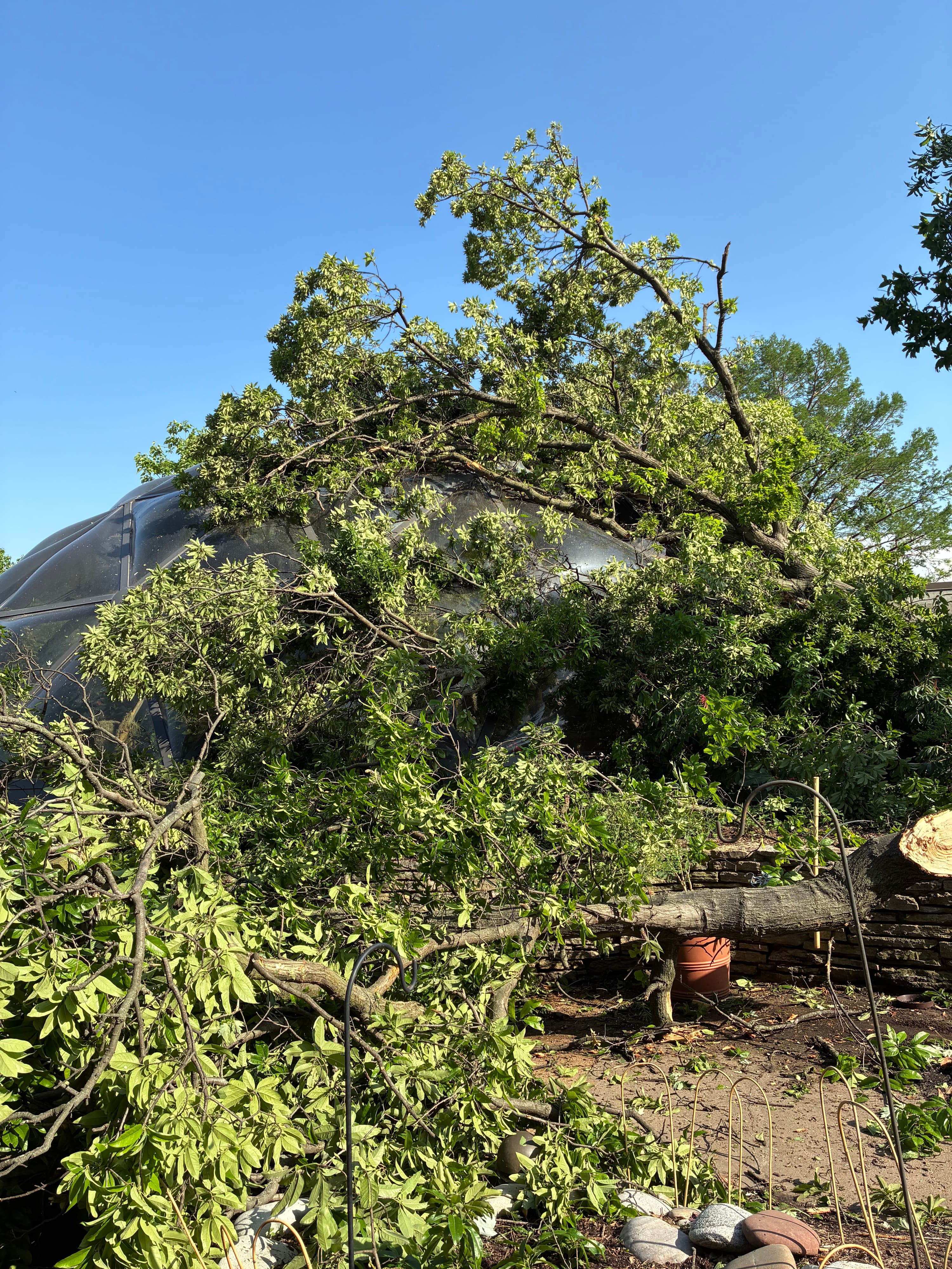 Storm damage May 2025