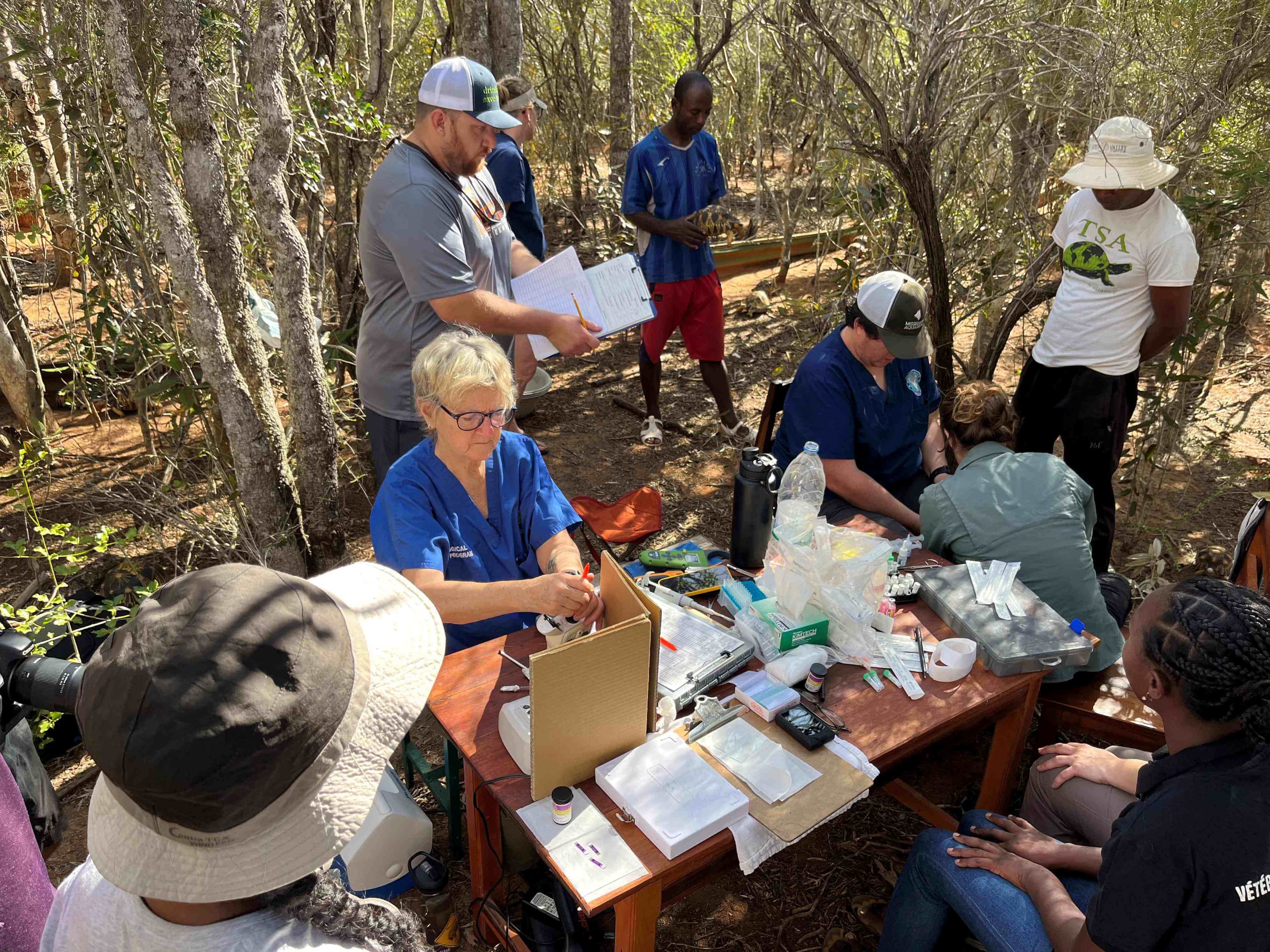 Madagascar tortoise health assessments