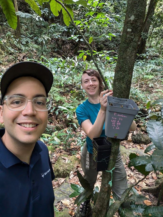 Anthony Oliveira (Saint Louis Zoo) with Selena Mayer (Sedgwick County Zoo) releasing Partula snails in Tahiti in September 2024. Photo courtesy of Anthony Oliveira - Saint Louis Zoo