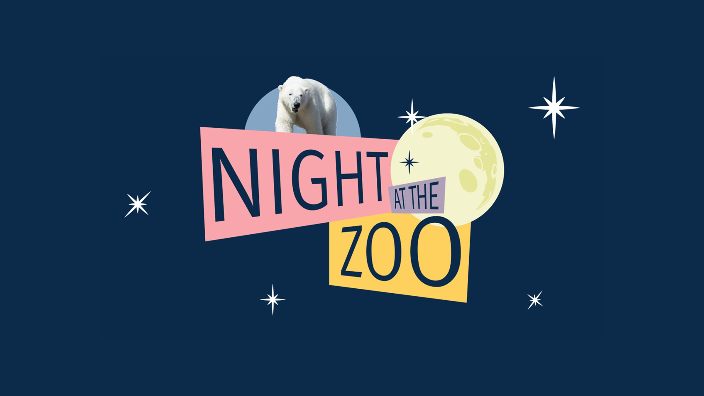 Night at the Zoo