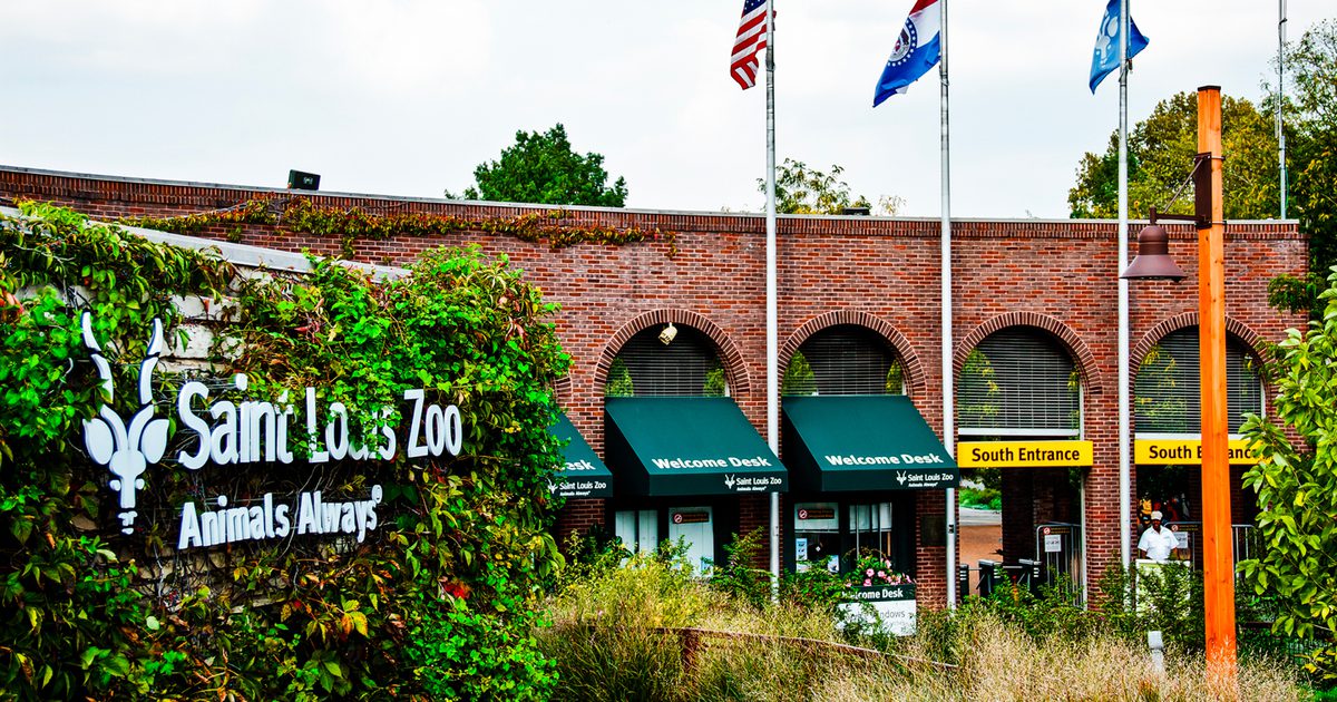 Digital Map Info Saint Louis Zoo digital-map-info-saint-louis-zoo