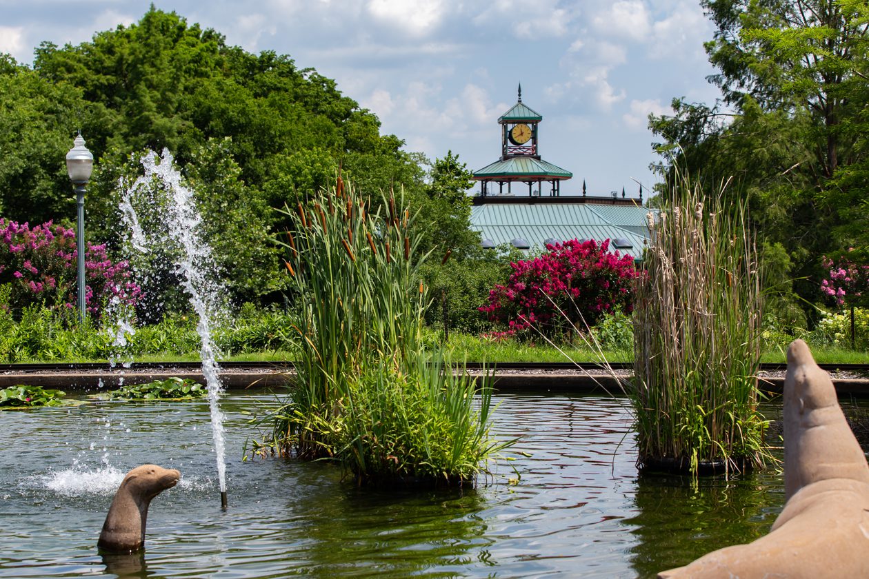 Organization Saint Louis Zoo Organization saint louis zoo